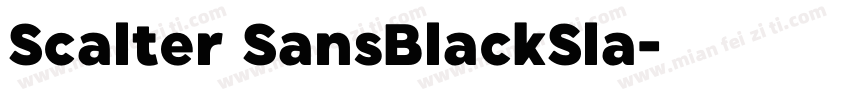 Scalter SansBlackSla字体转换